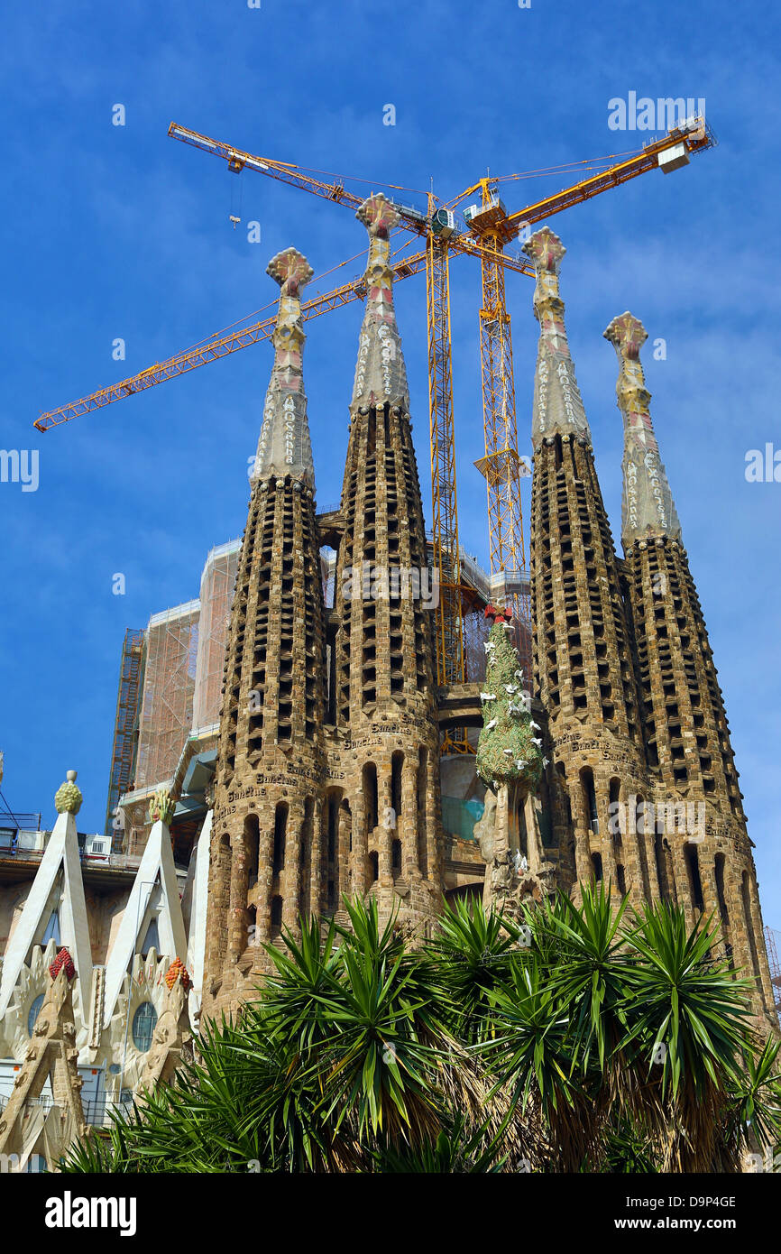 La basilique de la Sagrada Familia à Barcelone, Espagne Banque D'Images