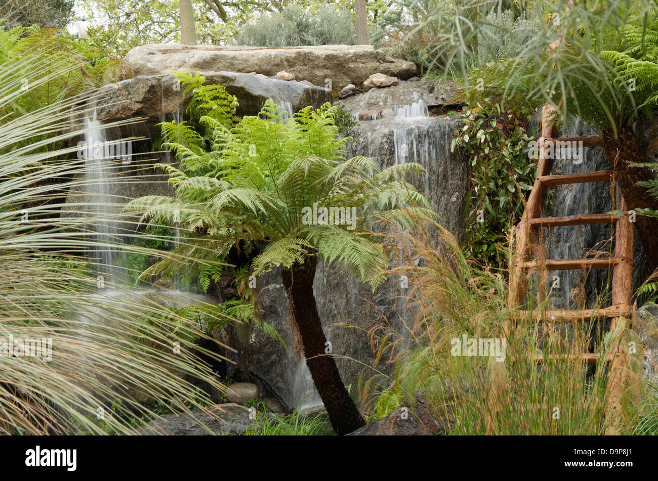 Fougère arborescente et chutes d'eau dans le jardin de l'Australie à Trailfinders RHS Chelsea Flower Show 2013, Londres, Royaume-Uni Banque D'Images