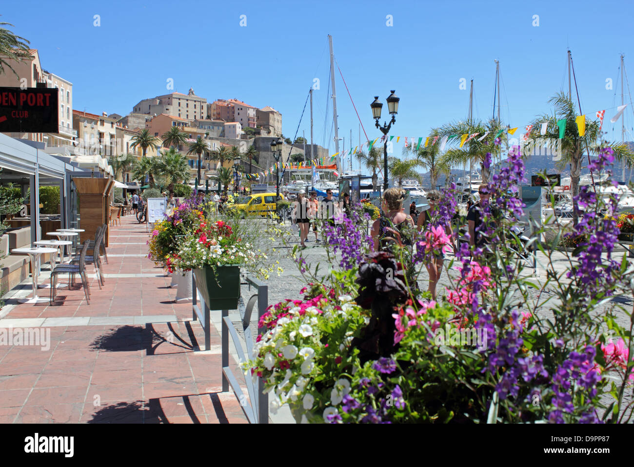 Le port de Calvi, Corse, France Banque D'Images