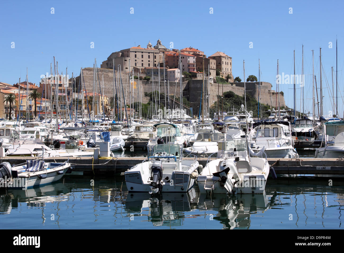 Le port de Calvi, Corse, France Banque D'Images