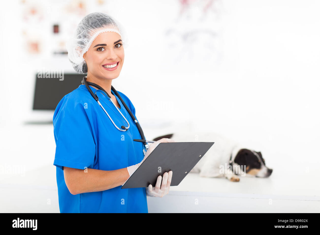 Femme médecin vétérinaire attrayant in office Banque D'Images