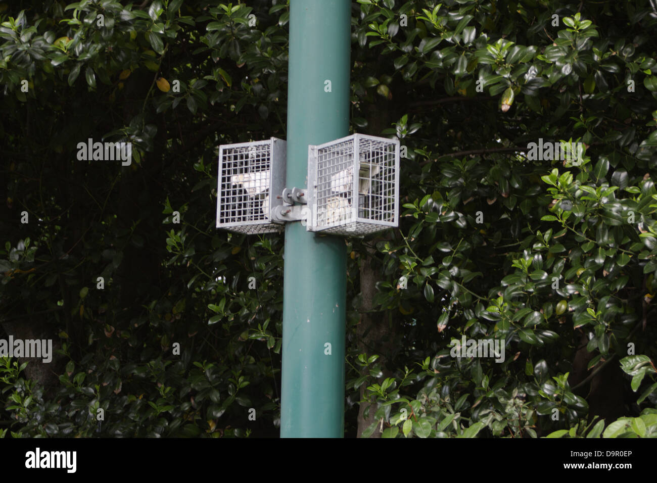 Redwall Detection Pir Sensor Banque d'image et photos - Alamy