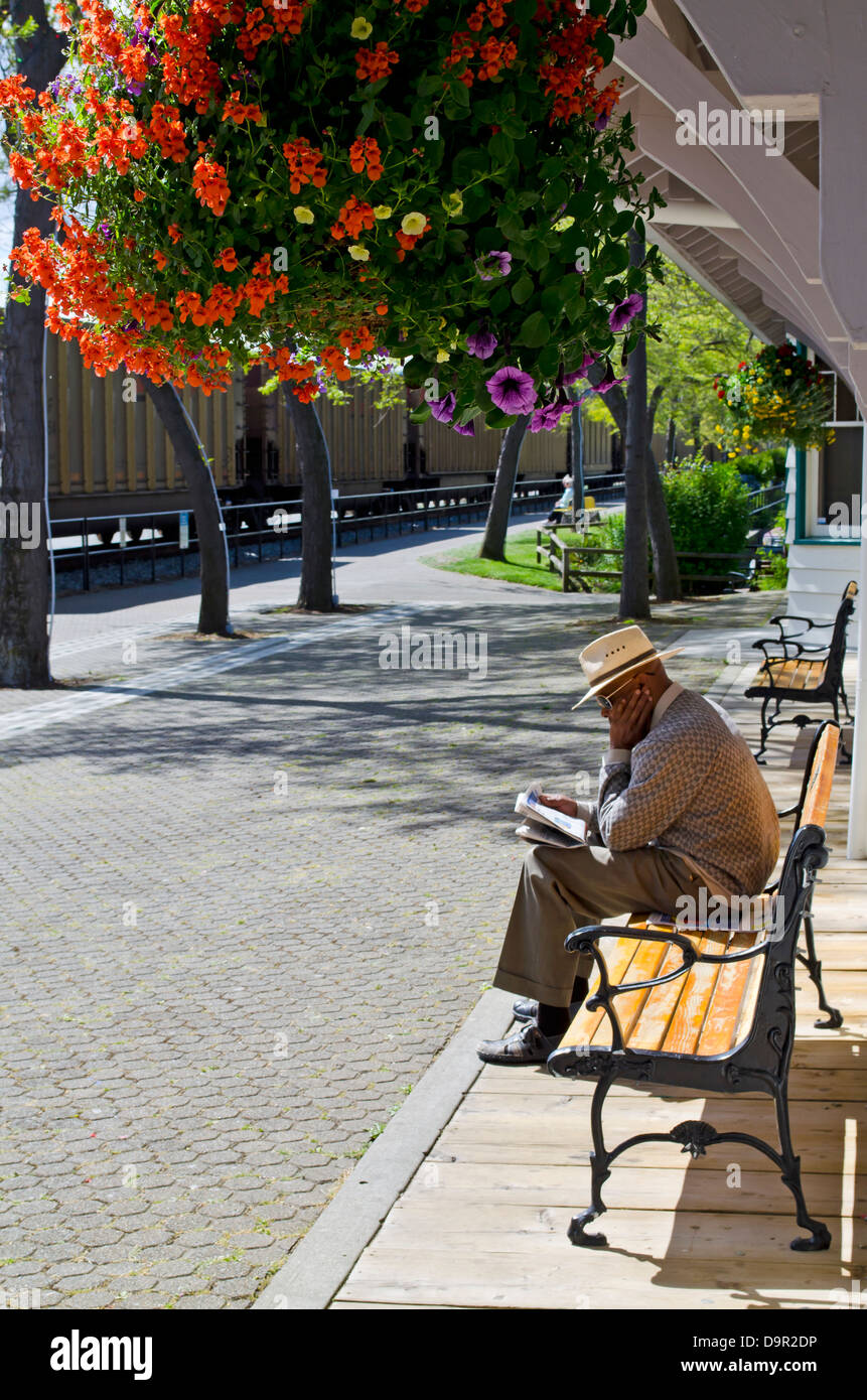 L'homme sur banc avec hat reading paper comme fret train passe. Fleurs colorées pendent au-dessus. Dans la région de White Rock, Canada Banque D'Images