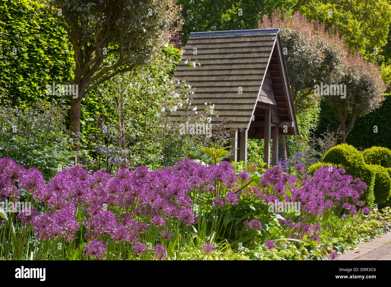 En fleur Allums Old Vicarage Garden East Ruston Norfolk Banque D'Images