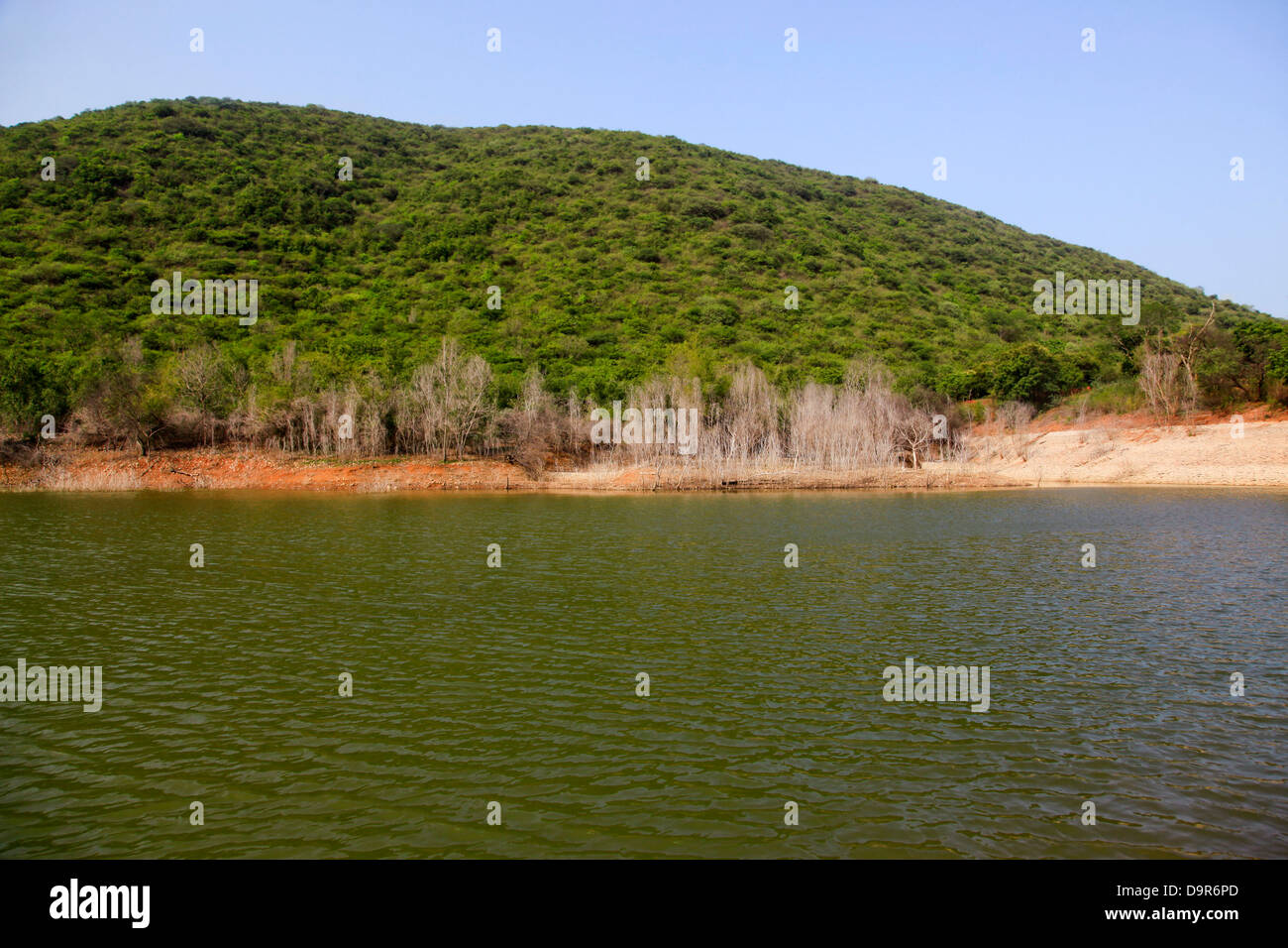 Lac dans un parc, l'éco-tourisme Konda Kambala Park (Majjisrinath), Visakhapatnam, Andhra Pradesh, Inde Banque D'Images