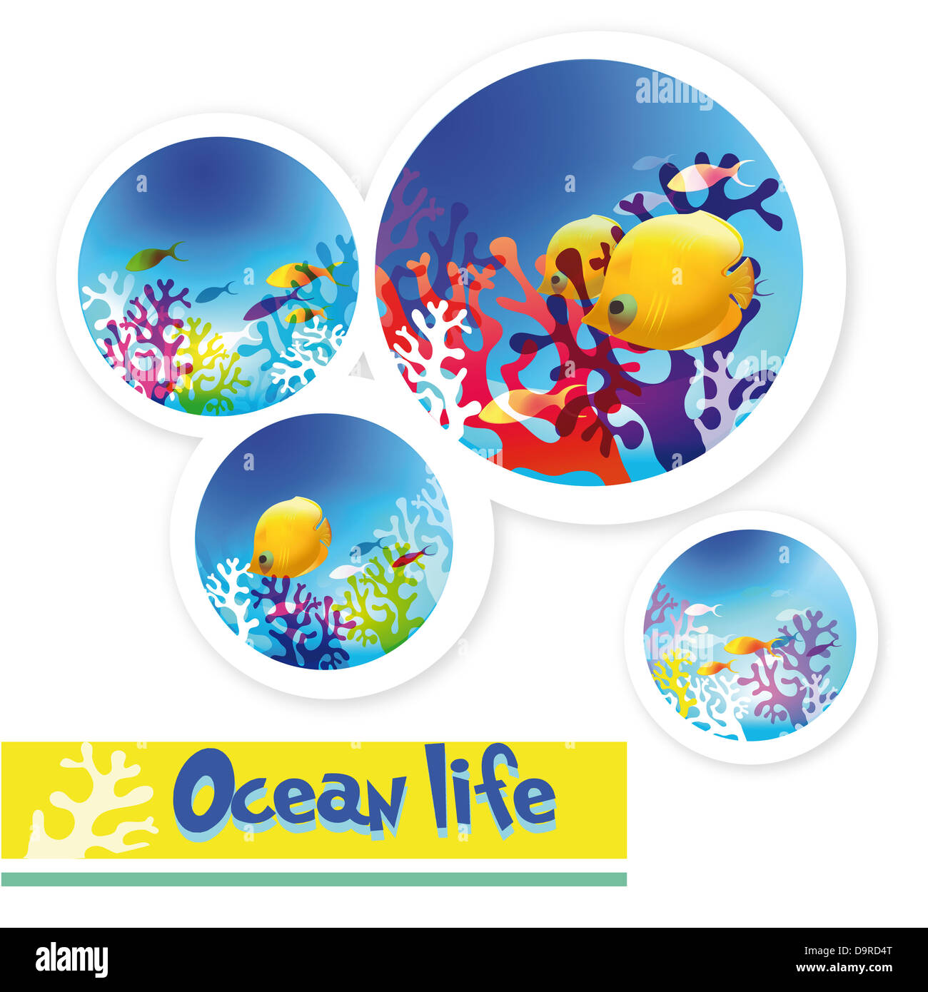 Une des images hautes en couleur de la vie des océans sous l'eau Banque D'Images