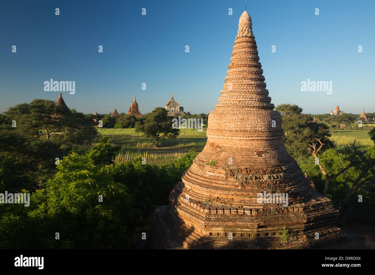 Les Temples de Bagan, Myanmar (Birmanie) Banque D'Images