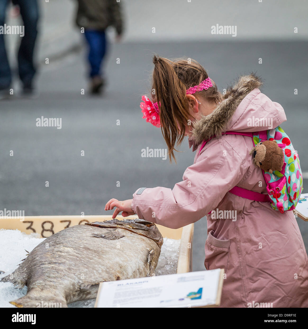 Jeune fille de toucher un poisson sur l'affichage à l'Seaman's day festival, Reykjavik, Islande. Banque D'Images