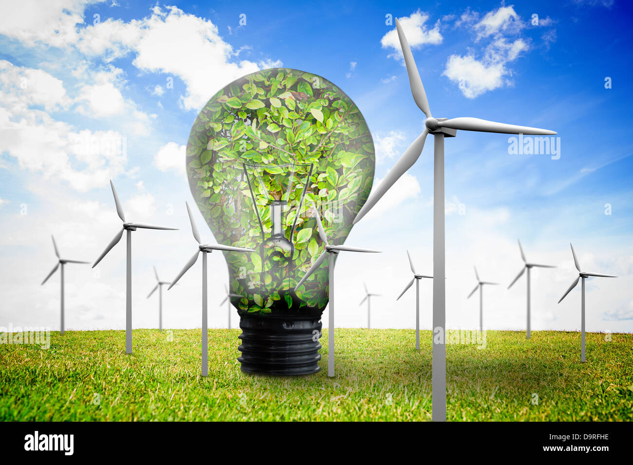 Les éoliennes et l'ampoule remplie de feuilles Banque D'Images Les éoliennes et l'ampoule remplie de feuilles Banque D'Images