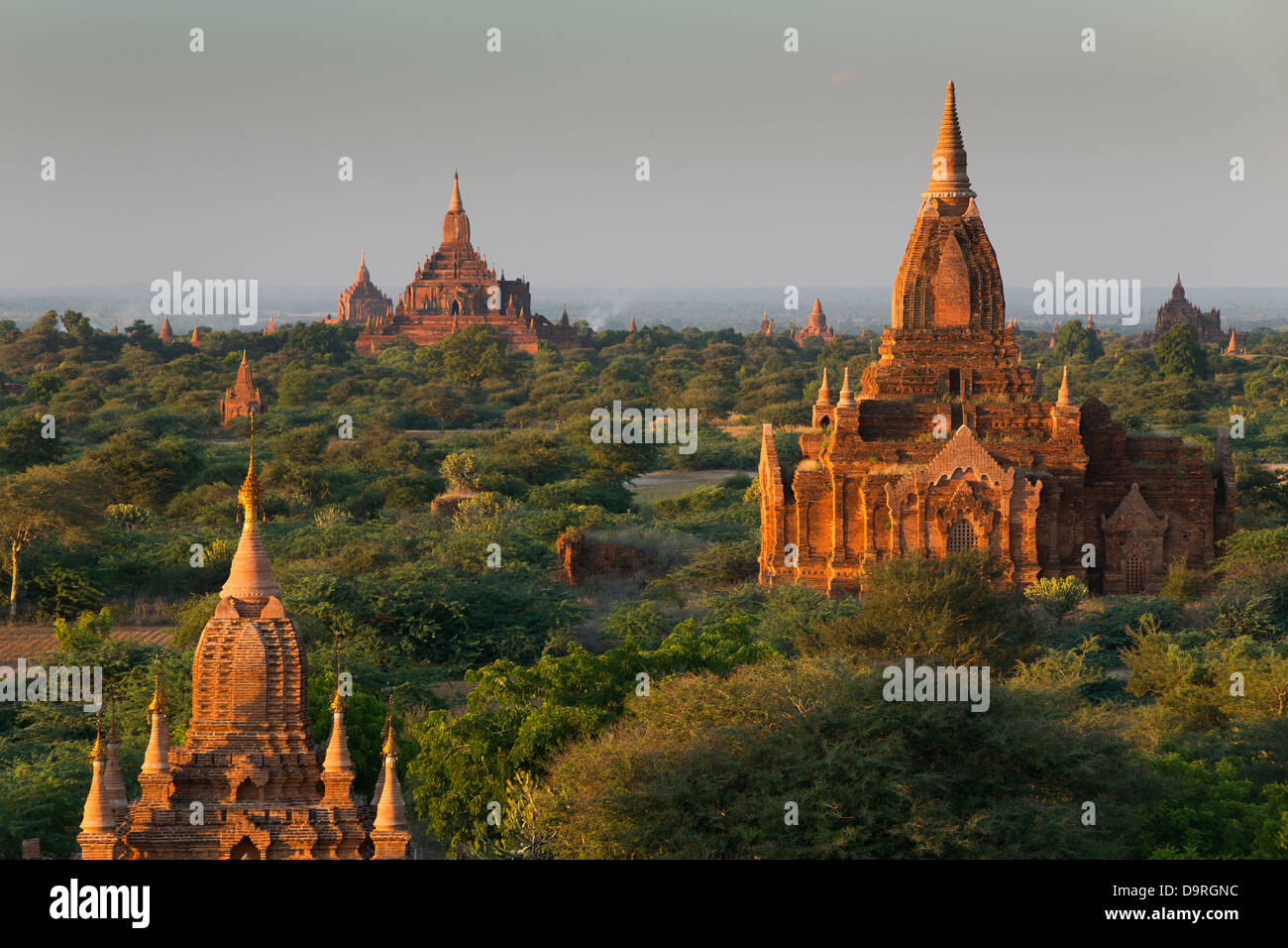 Des ballons sur les temples de Bagan à l'aube, le Myanmar (Birmanie) Banque D'Images
