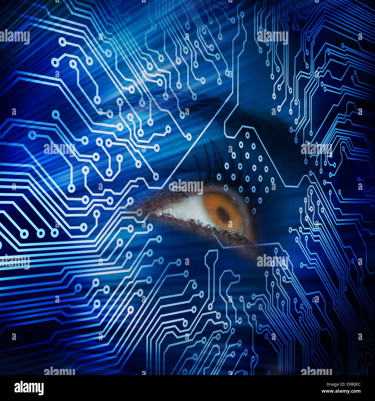 Brown eye looking up in blue circuit board Banque D'Images