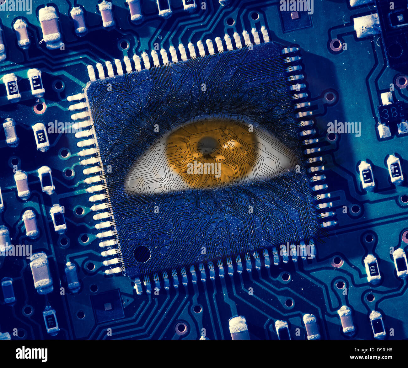 Brown eye en milieu de circuit bleu Banque D'Images Brown eye en milieu de circuit bleu Banque D'Images