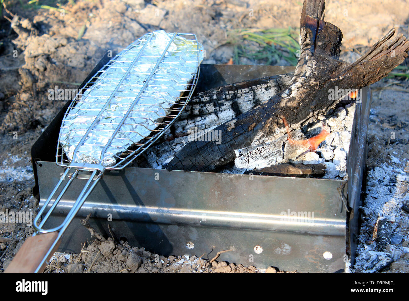 Image de plat de friture de poissons cuits sur le feu Banque D'Images