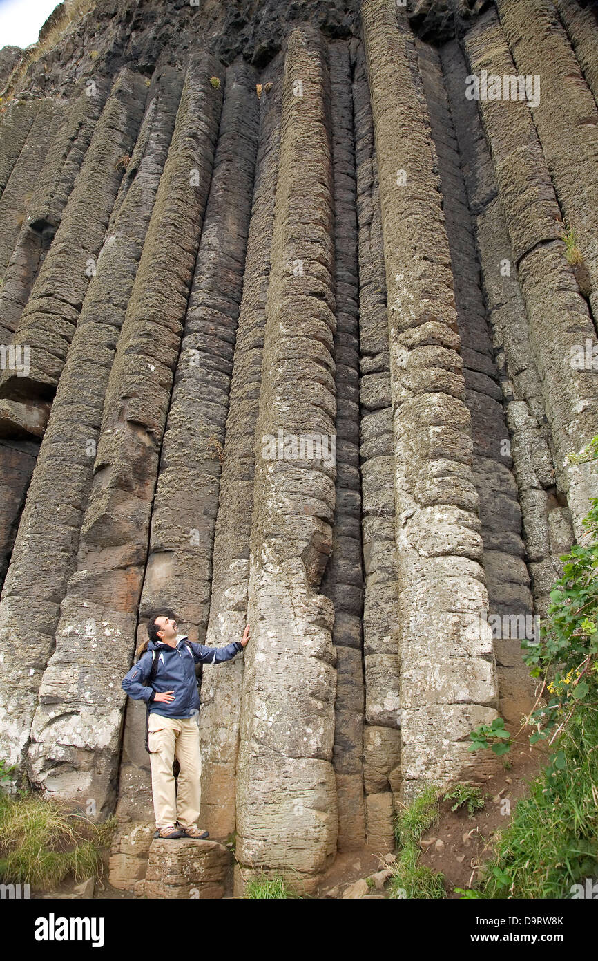 La formation basaltique d'organes, dans le 'Causeway Route'. Le comté d'Antrim, en Irlande du Nord, littoral, Royaume-Uni, Europe. Banque D'Images