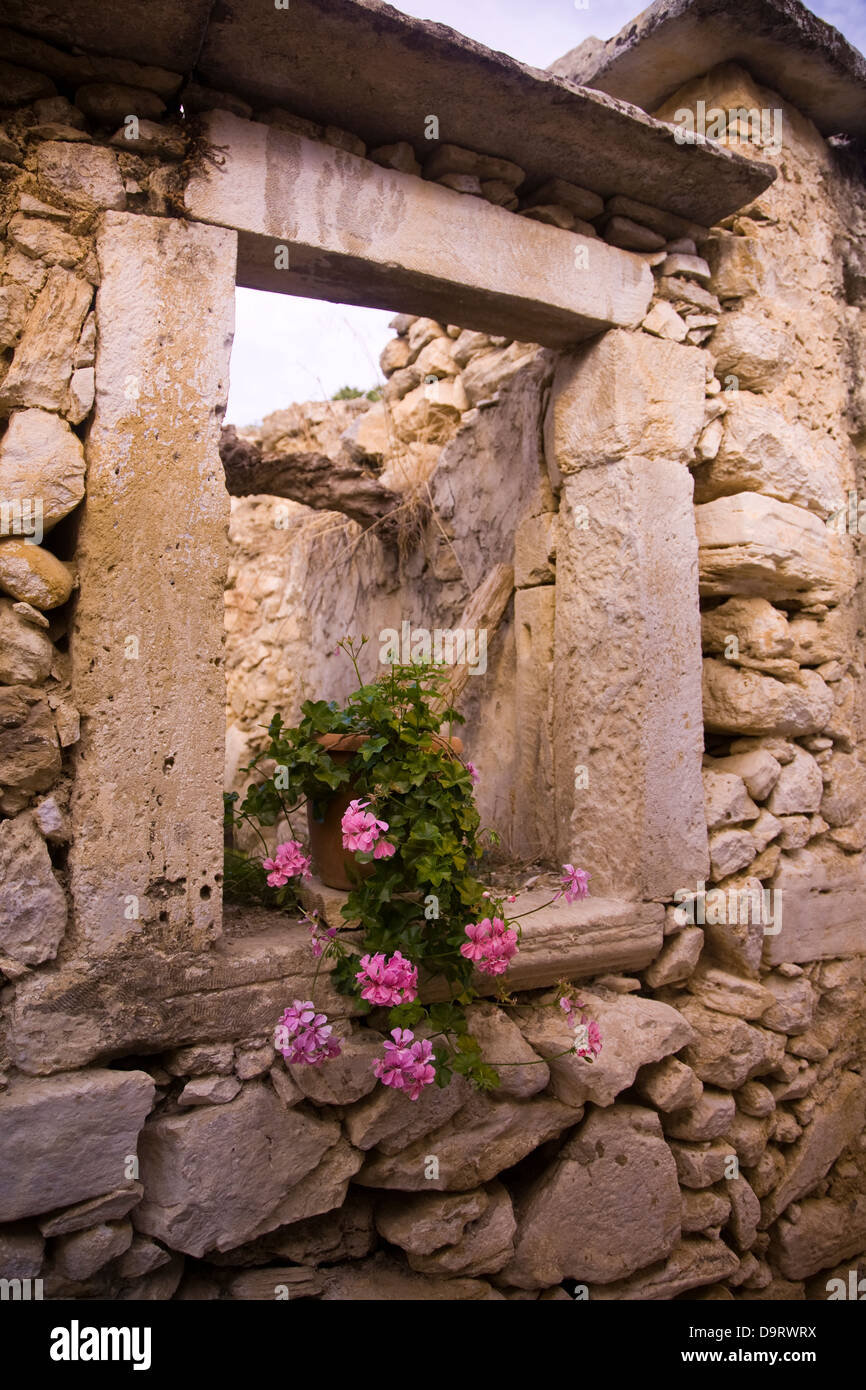 Fleurs roses en fenêtre, village de Gavalochori, près de la baie de Souda, l'ouest de la Crète, Grèce Banque D'Images