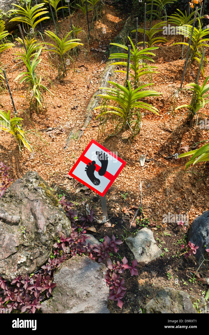 Aucun signe de marche, ne pas/pas d'étape sur les plantes, les jardins botaniques de Singapour Banque D'Images