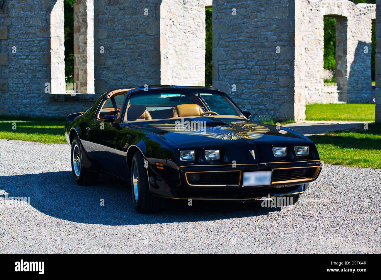 1979 Pontiac Trans Am Special Edition Banque D'Images
