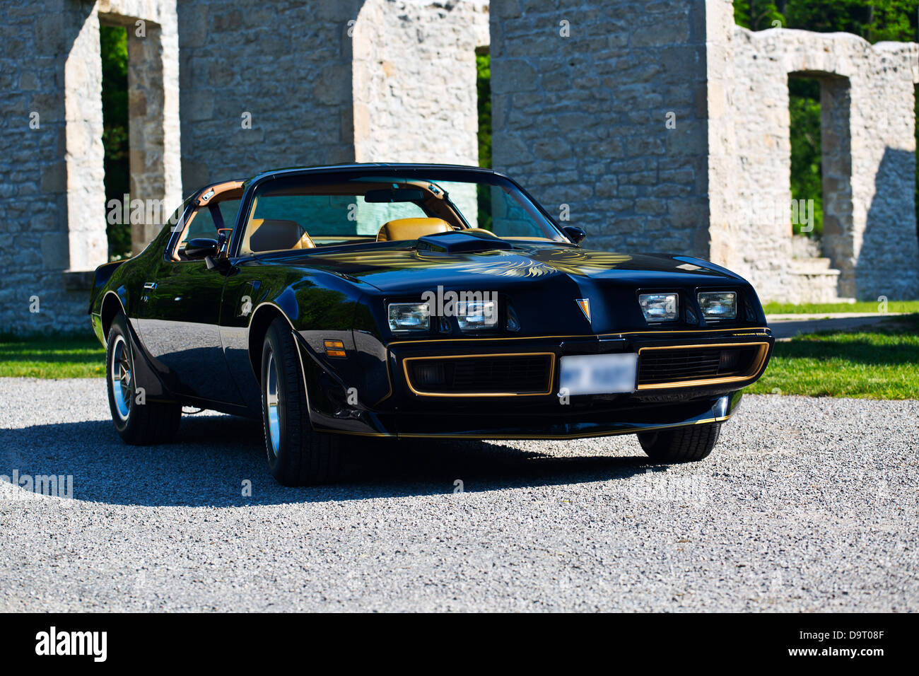 1979 Pontiac Trans Am Special Edition Banque D'Images