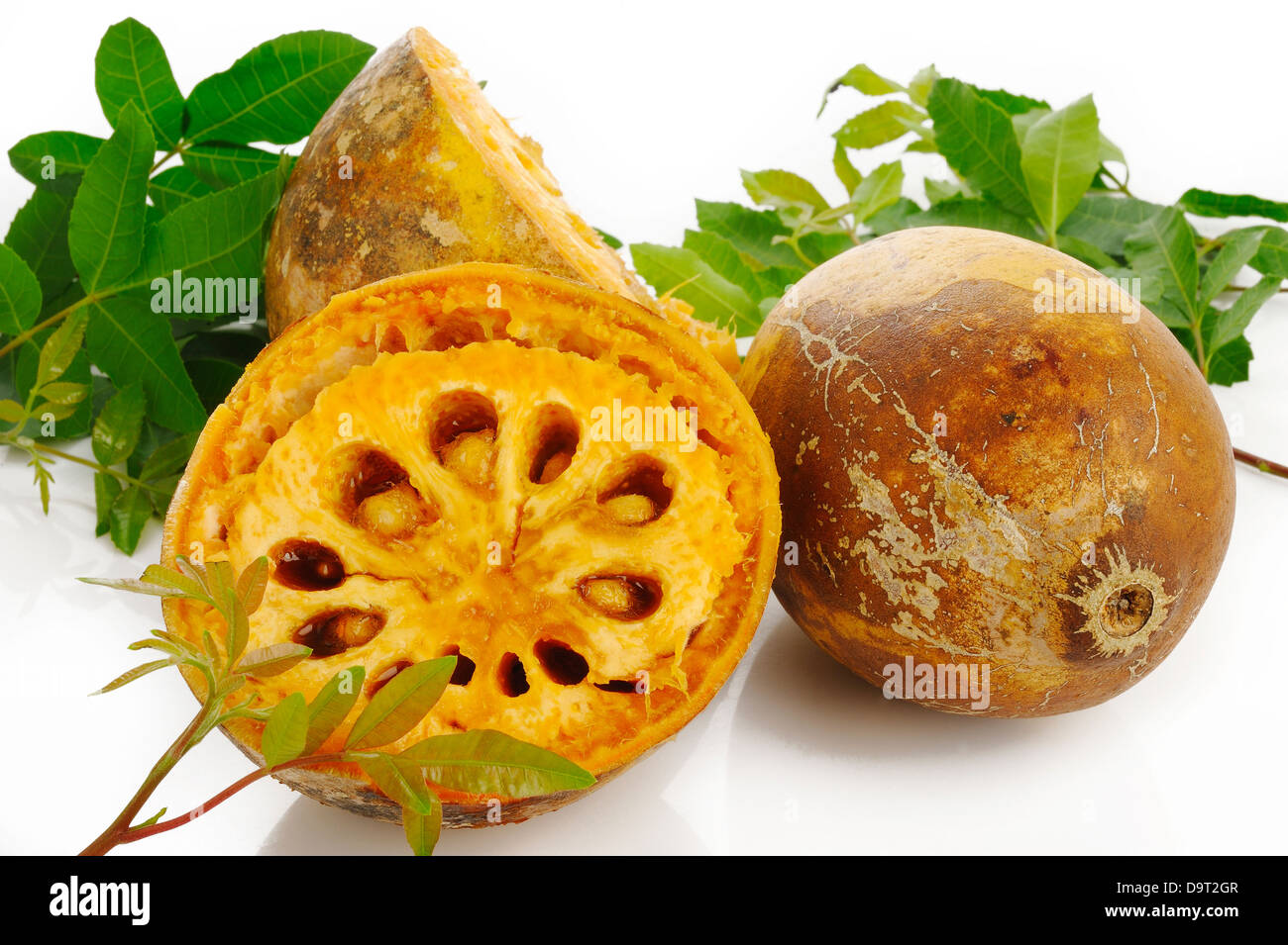 Fruit de bael mûres et de feuilles sur fond blanc Banque D'Images