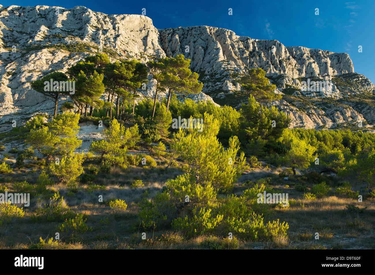 Montagne Ste Victoire à l'aube, Var, Provence, France Banque D'Images