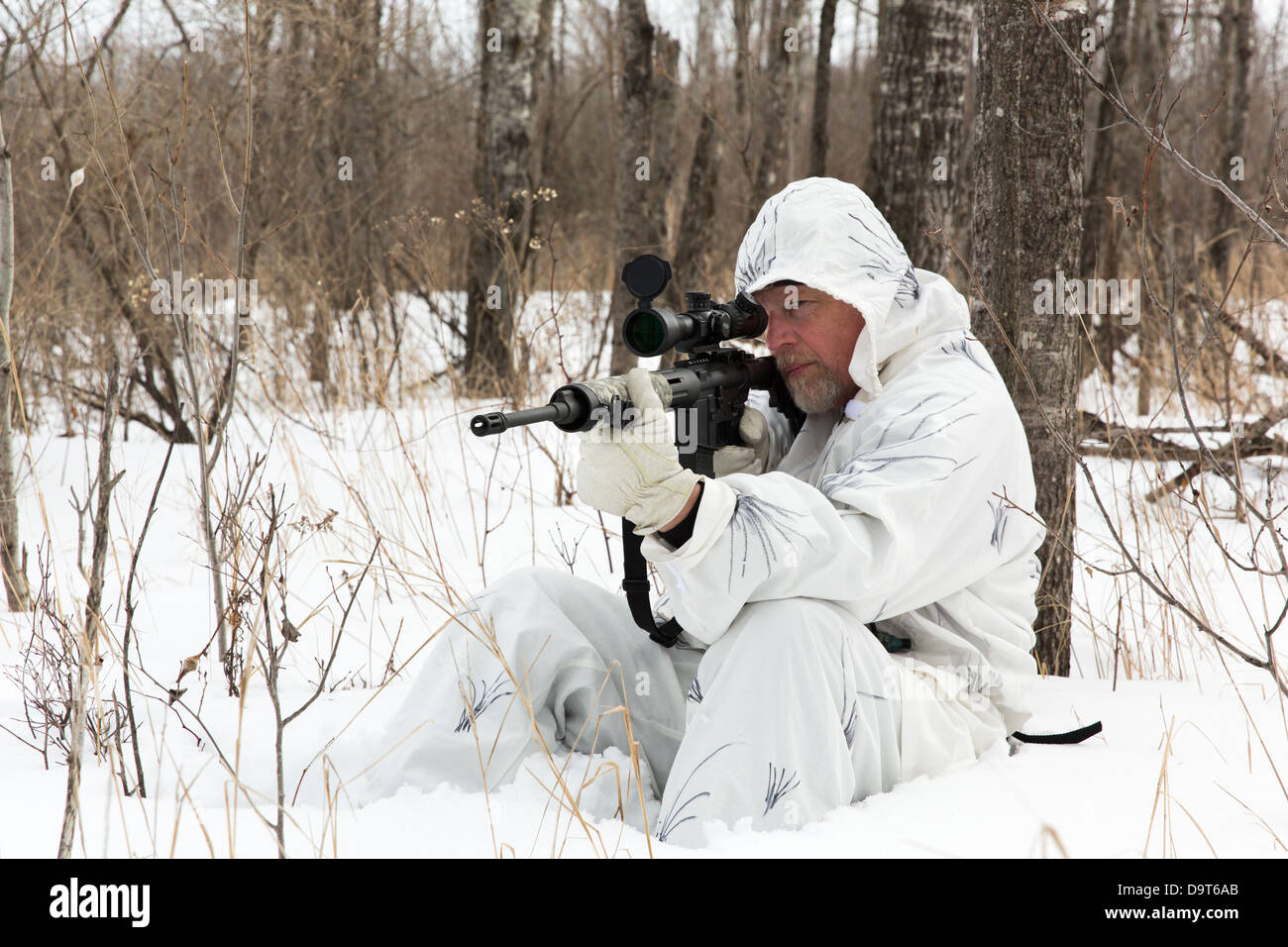 Au cours de l'hiver chasse Coyote Banque D'Images