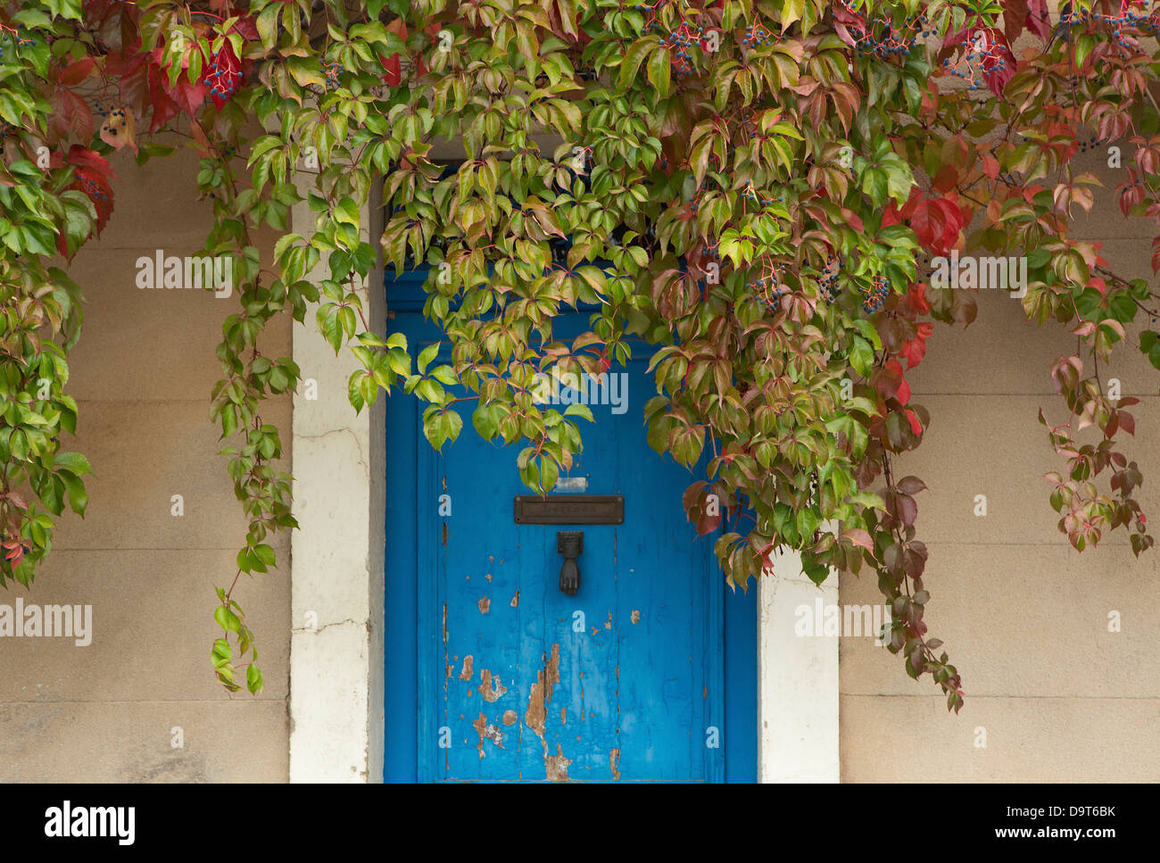 Une porte à Aix-en-Provence, Var, Provence, France Banque D'Images