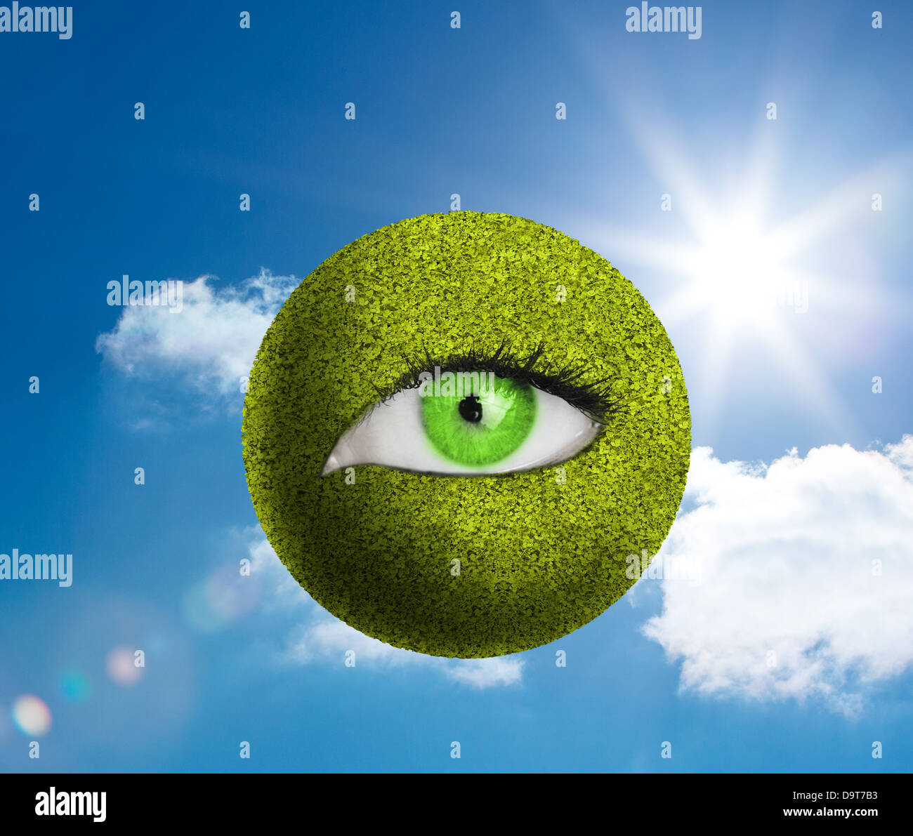 Green Eye dans un globe vert Banque D'Images