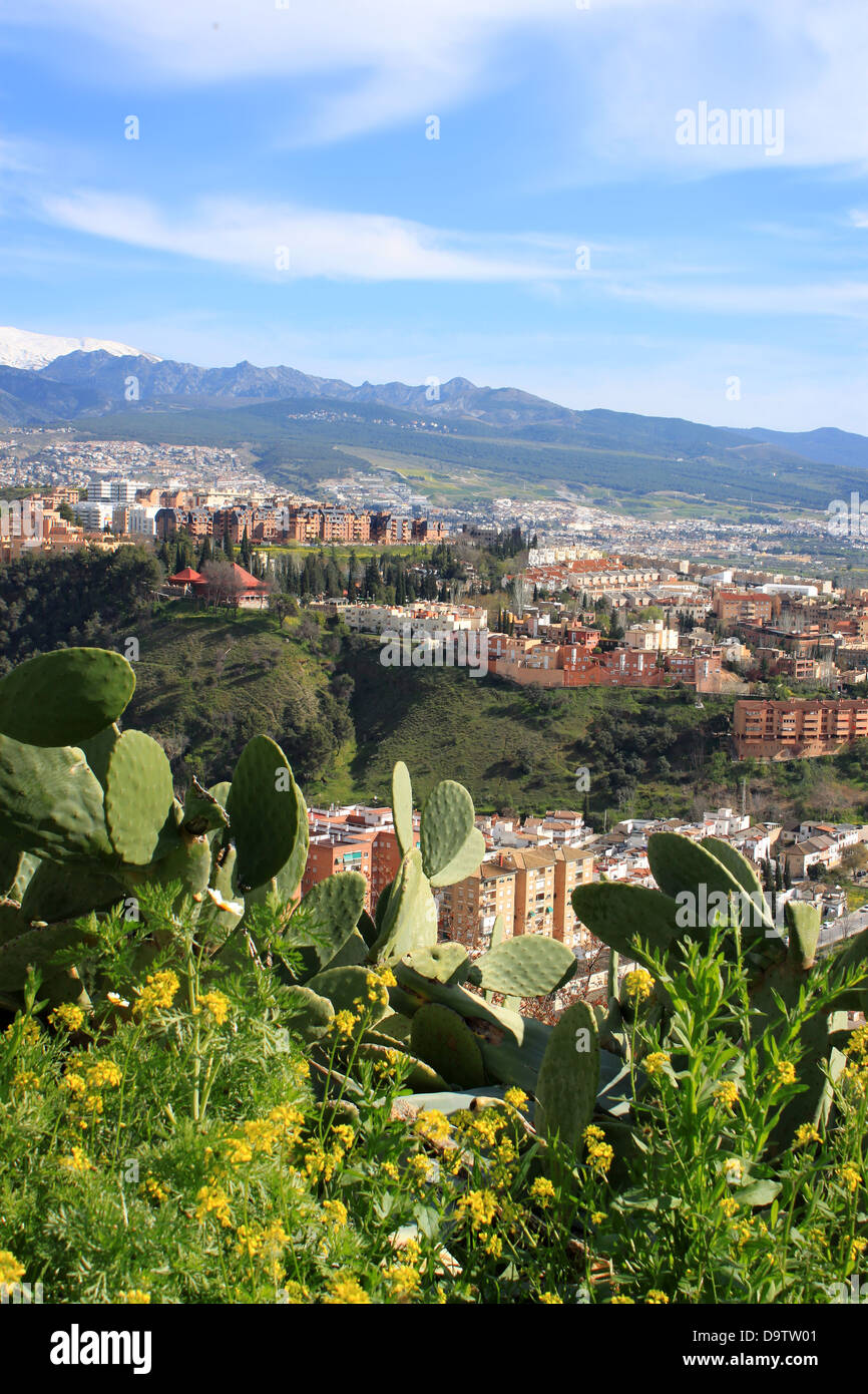Vue de Grenade, en Espagne, avec des montagnes à l'arrière et cactus à l'avant Banque D'Images
