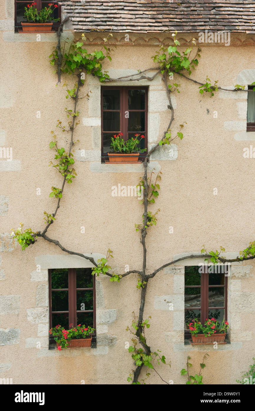 Les murs et fenêtres, de la France, région de la Dordogne, Saint-Cirq-Lapopie, ville médiévale au-dessus de la rivière Dordogne Banque D'Images