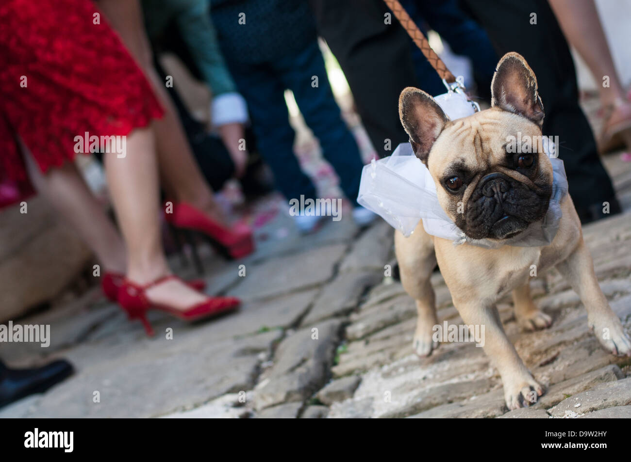 détail de mariage Banque D'Images