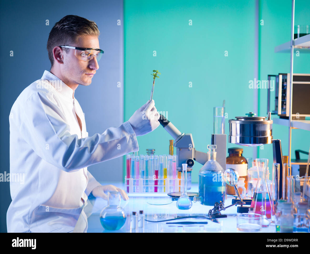 Vue latérale du chercheur d'hommes assis à une table dans un laboratoire tenant une plante avec une paire de pincettes l'analysant Banque D'Images