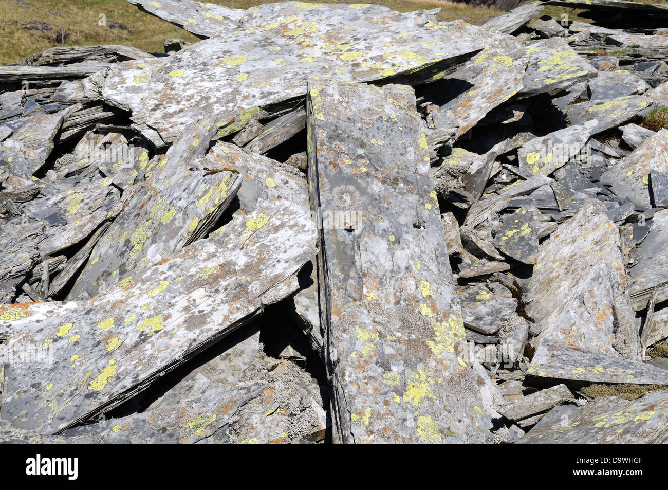 L'ardoise des terrils couverts de lichen à l'ancienne mine d'ardoise dans Rhosydd un col entre les vallées et Cwmorthin Croesor Banque D'Images