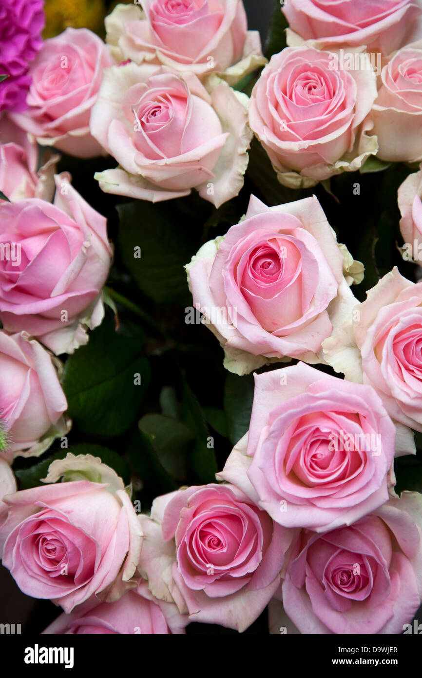 Roses à Borough Market - London UK Banque D'Images