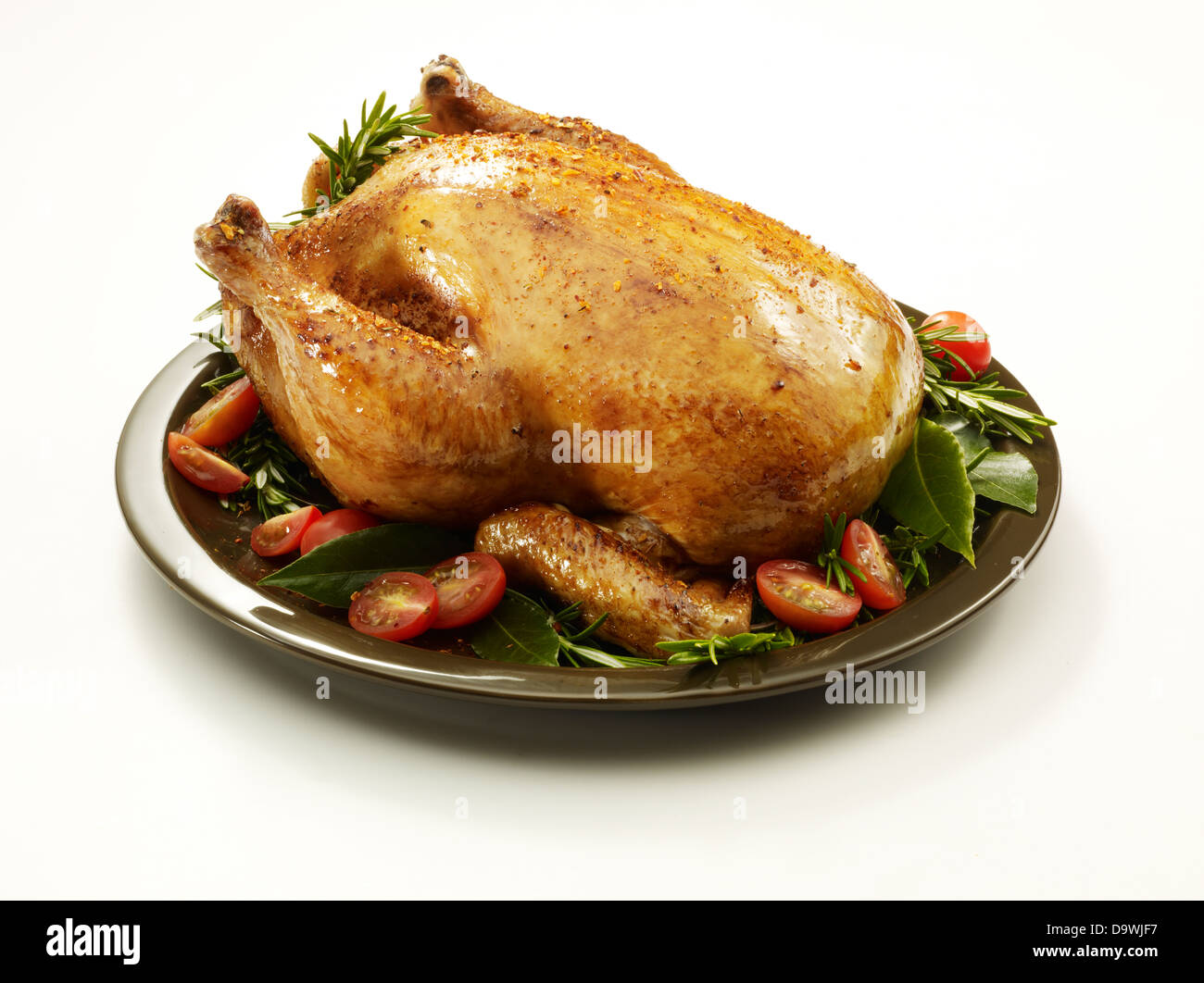 Thanksgiving turkey Banque D'Images