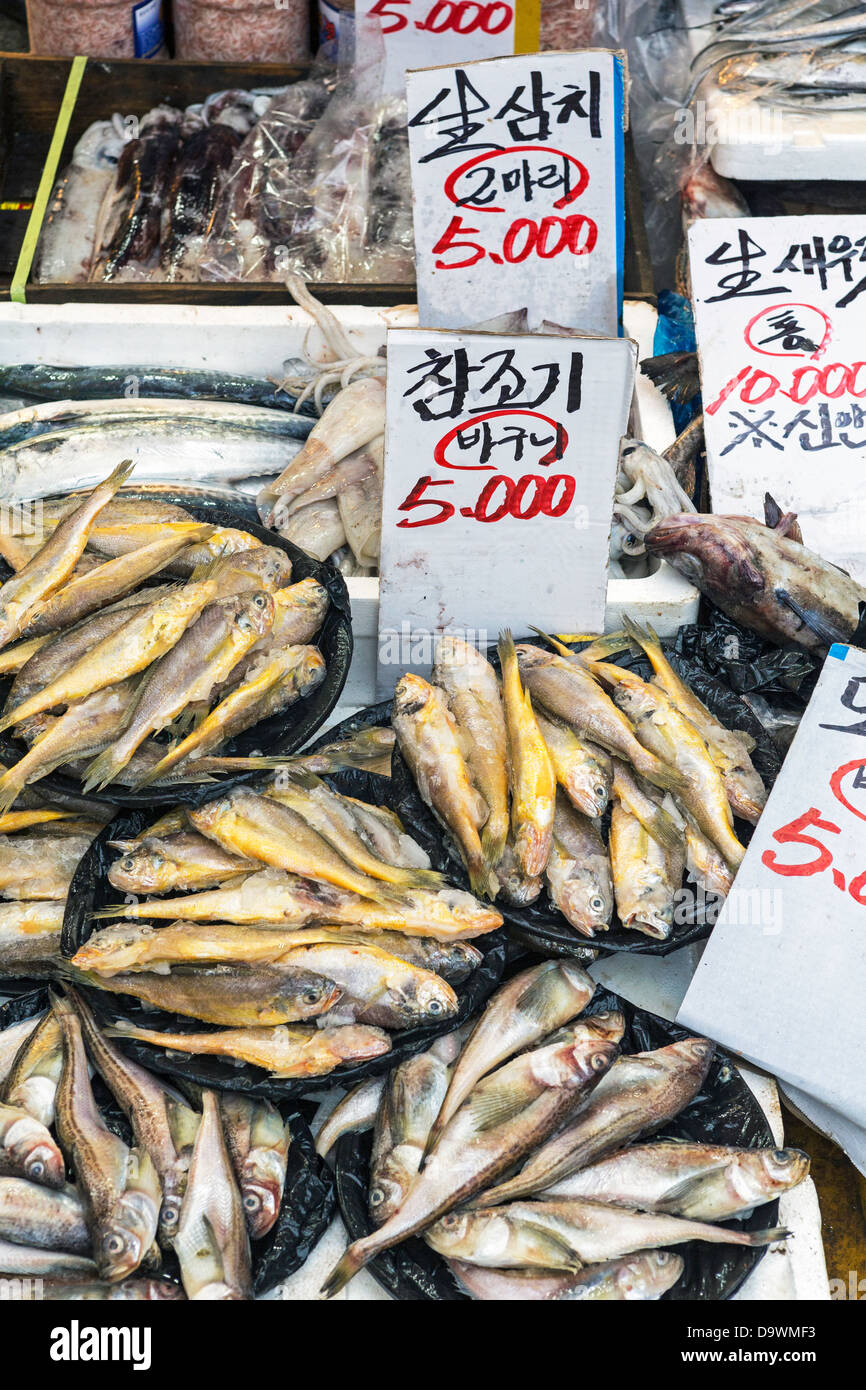 Le marché de Dongdaemun, District de Dongdaemun, Séoul, Corée du Sud, Asie Banque D'Images