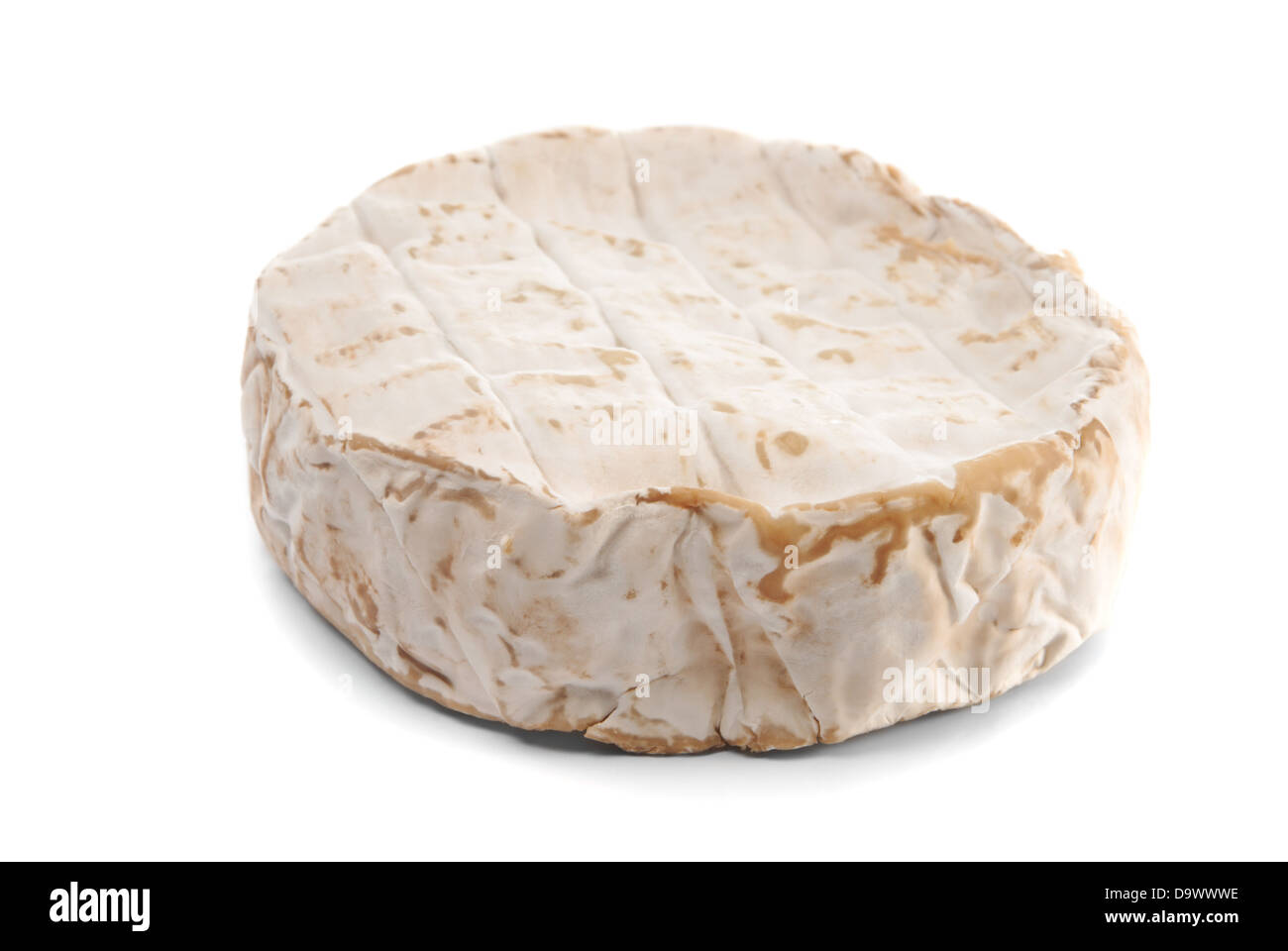 La roue des fromages mous sur fond blanc Banque D'Images