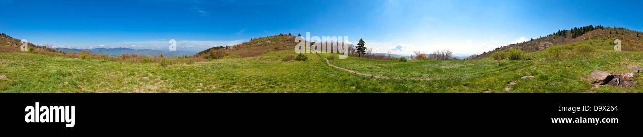 Un panorama à 360 degrés du sentier en Caroline du Nord, USA Banque D'Images