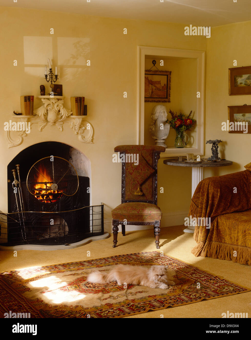 Chat sur un tapis devant le foyer avec le feu allumé et inhabituelle mantel  tablette dans la salle de séjour avec un fauteuil en face de l'alcôve Photo  Stock - Alamy