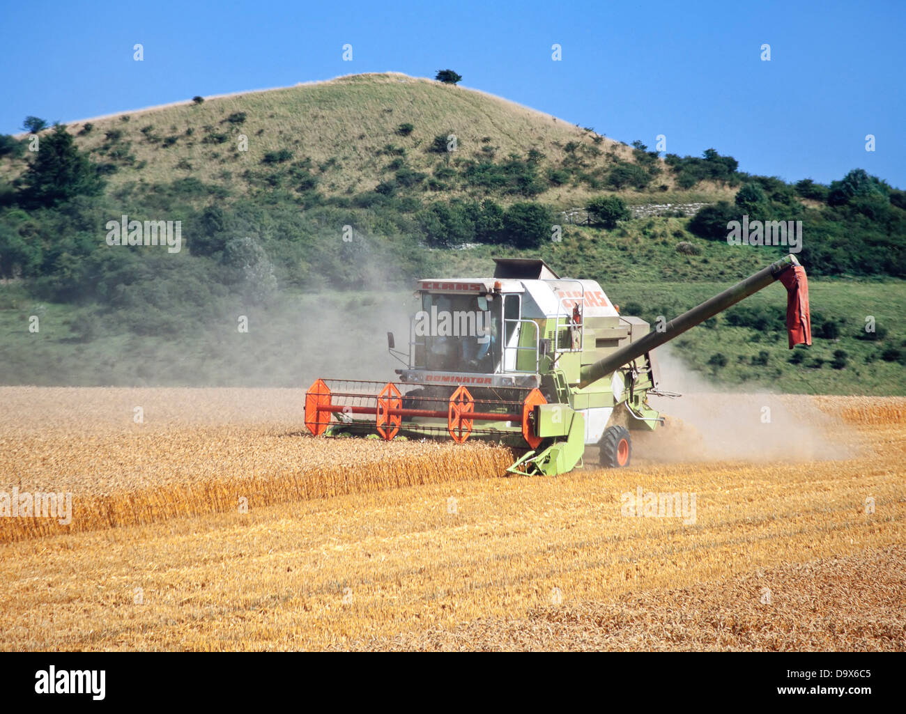 La récolte d'été, Hertfordshire, Royaume-Uni, de coupe de moissonneuse-batteuse de blé de bonne maturité, hayrolls Banque D'Images