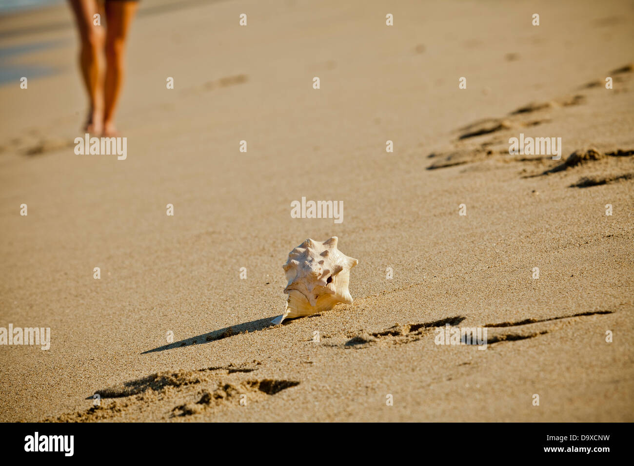 Woman walking on beach vers guilhemroux Banque D'Images Woman walking on beach vers guilhemroux Banque D'Images