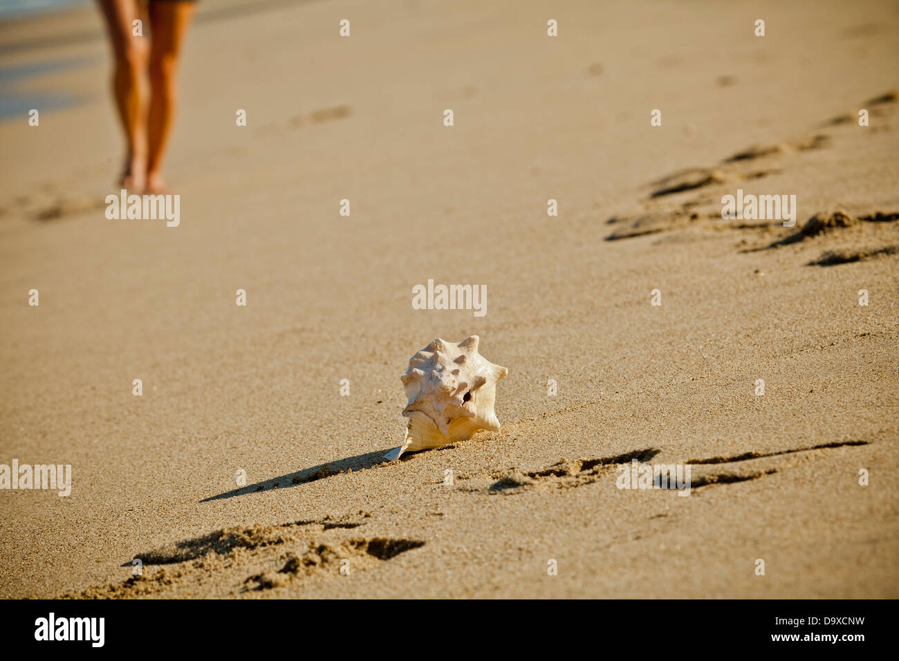 Woman walking on beach vers guilhemroux Banque D'Images