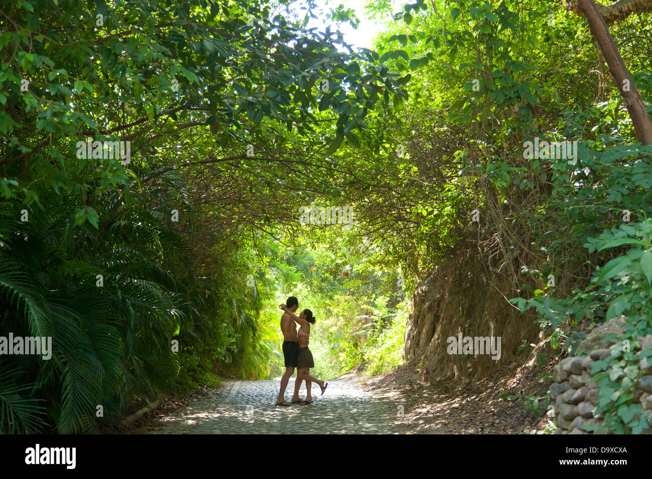Couple walking down tree chemin voûté Banque D'Images Couple walking down tree chemin voûté Banque D'Images