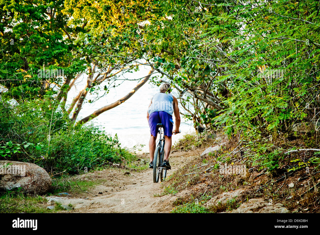 Man riding bicycle sur le chemin de la plage Banque D'Images