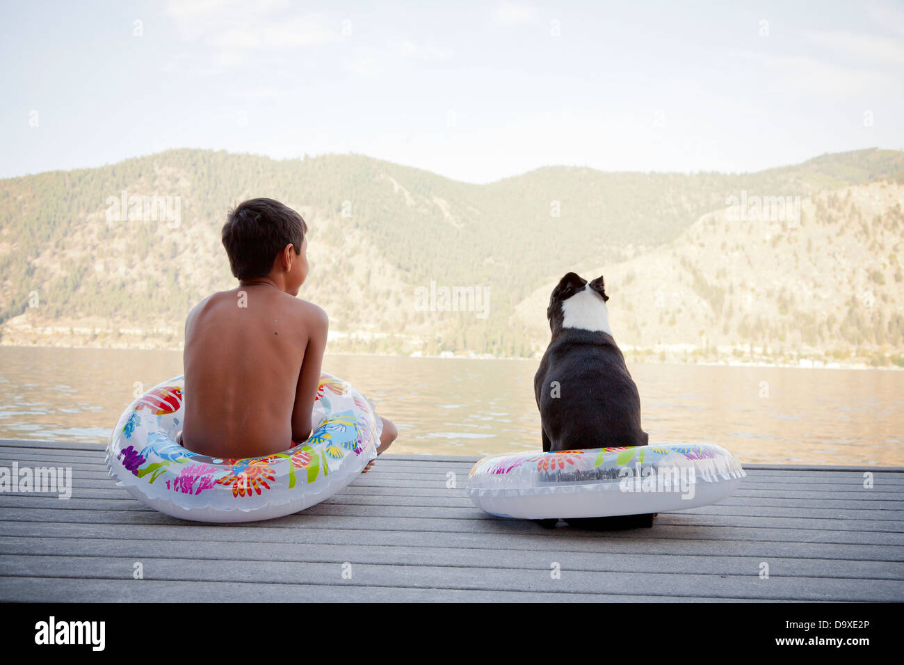 Jeune garçon et le chien portant des anneaux de flottement sur dock Banque D'Images