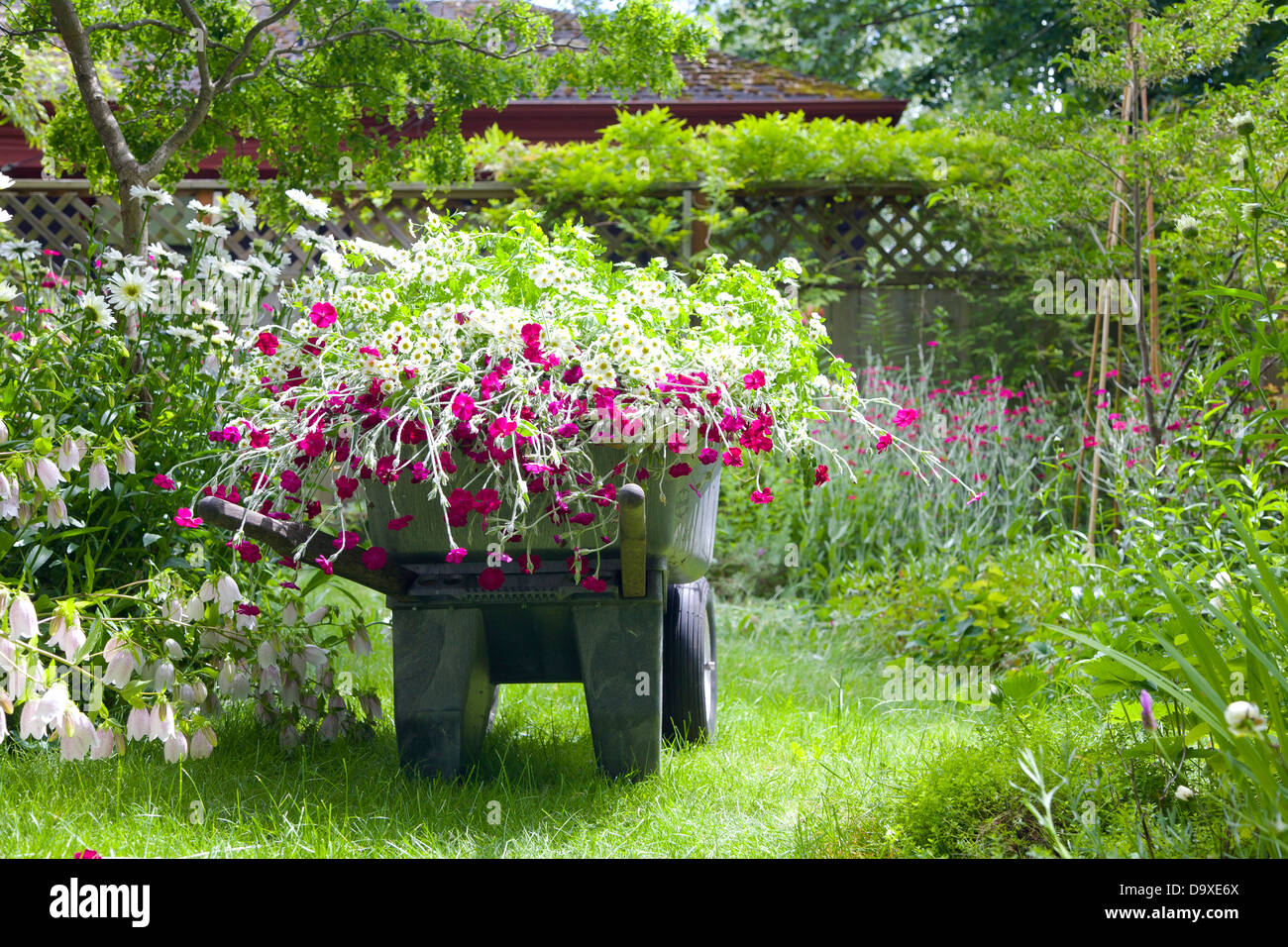 Brouette pleine de fleurs de jardin Banque D'Images