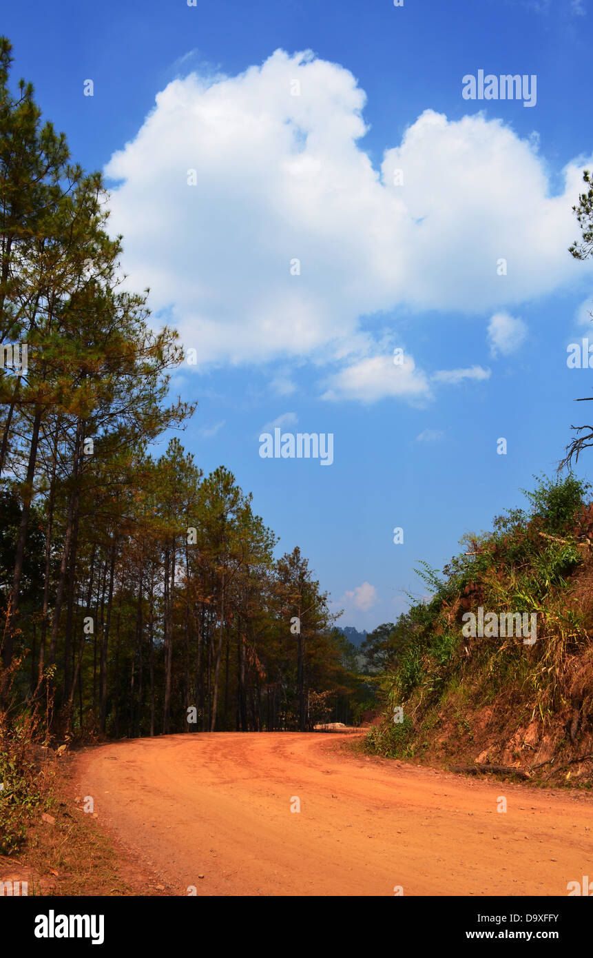 Un Non-Asphalt route pavée avec forêt de pins et nuageux Ciel Bleu Banque D'Images