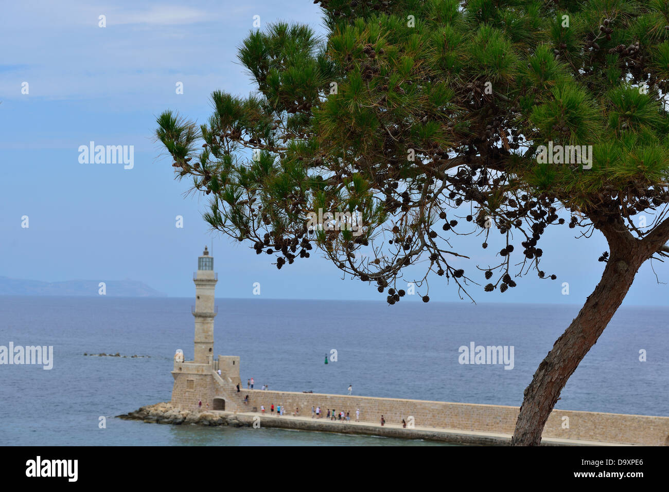 Un pin parasol avec le phare vénitien en arrière-plan, Chania, Crète de l'Ouest. La Grèce. Banque D'Images