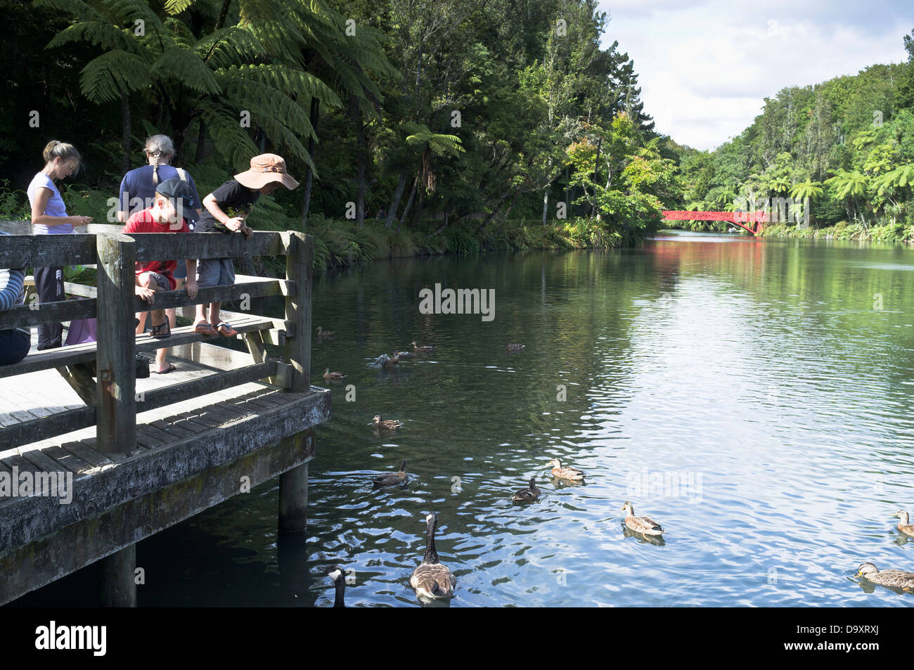 Dh Parc Pukekura New Plymouth Nouvelle-zélande chez les canards les garçons dans l'eau enfants kids Banque D'Images