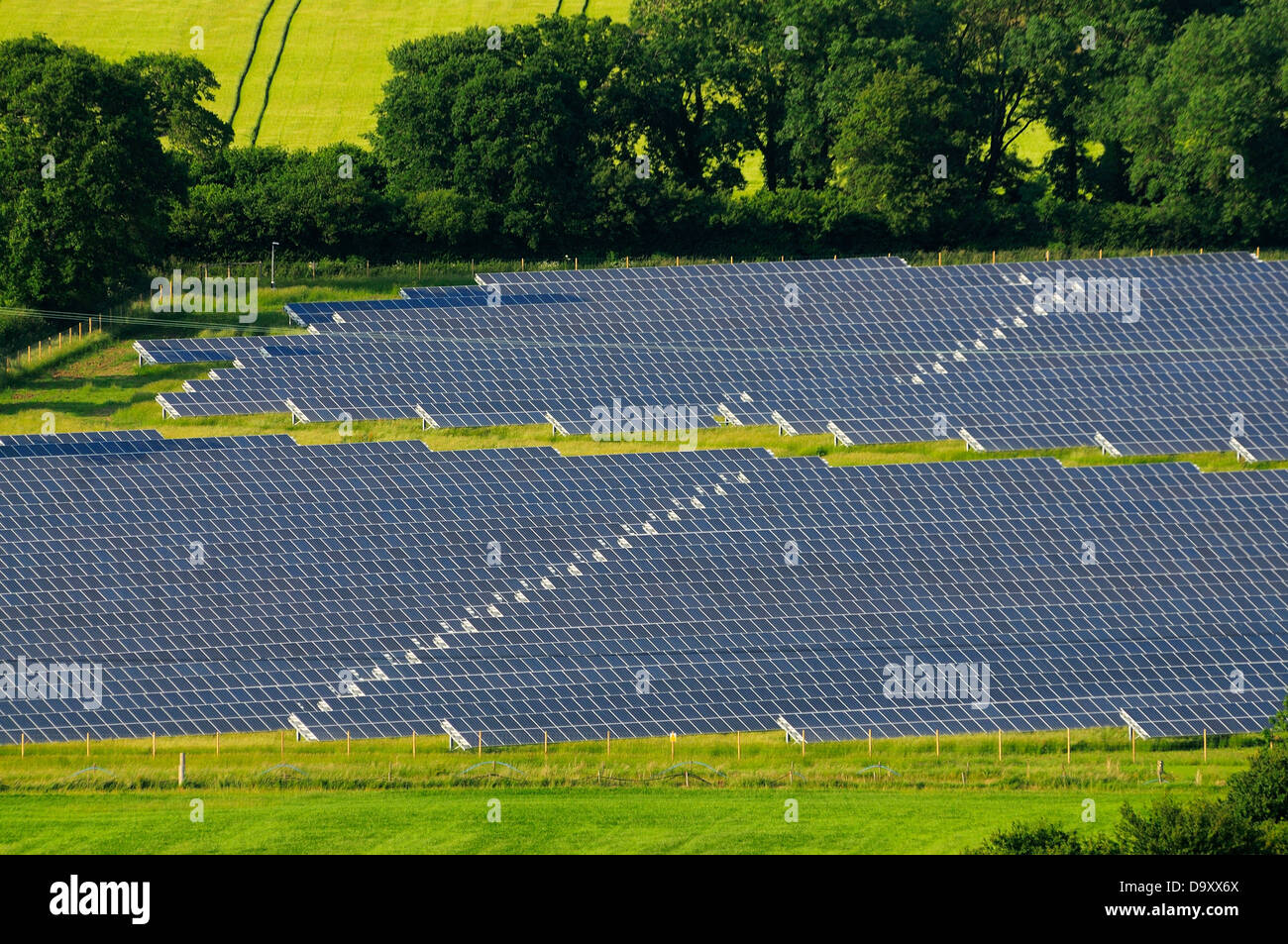 Un champ rempli de panneaux solaires dans le Dorset UK Banque D'Images