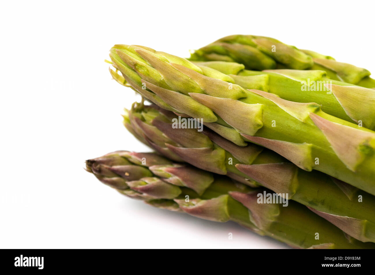 Asperges vertes sur fond blanc Banque D'Images